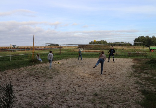 batch IMG 8091 (735 visits) batch IMG 8091
