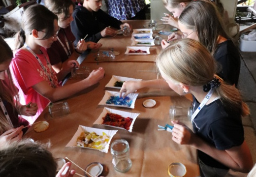 batch IMG 8113 (701 visits) batch IMG 8113