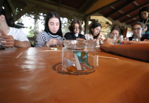 batch IMG 8116 (713 visits) batch IMG 8116