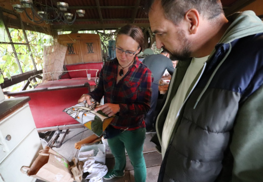 batch IMG 8119 (702 visits) batch IMG 8119