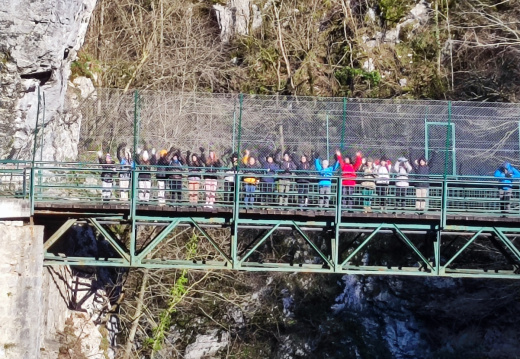 IMG 20240109 110800