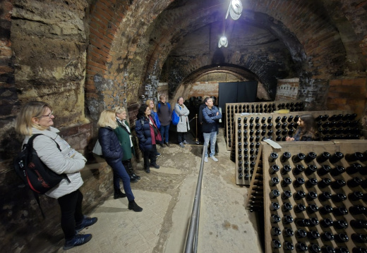 01 ponedeljek (11) (613 visits) 01 ponedeljek (11)