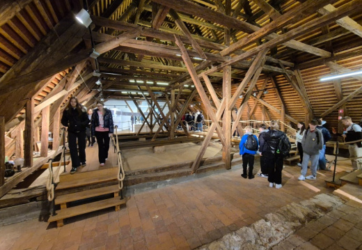 01 ponedeljek (20) (641 visits) 01 ponedeljek (20)