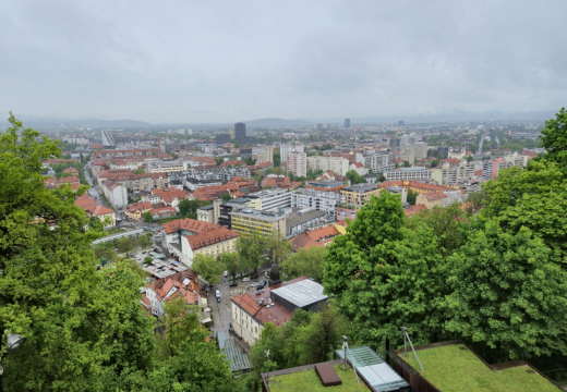 02 torek (24) (549 visits) 02 torek (24)