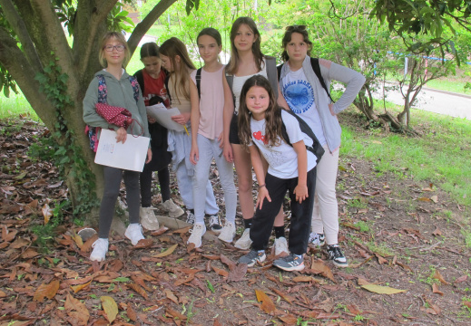 01 ponedeljek (7) (1480 visits) 01 ponedeljek (7)