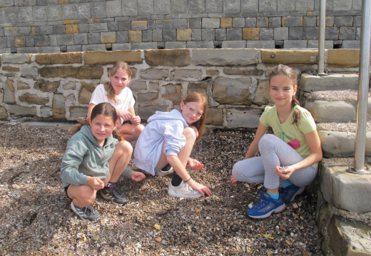 IMG 3813 (809 visits) IMG 3813