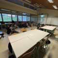 IMG 3181