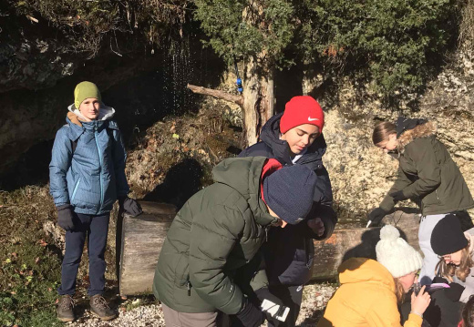torek1 (3) (744 visits) torek1 (3)