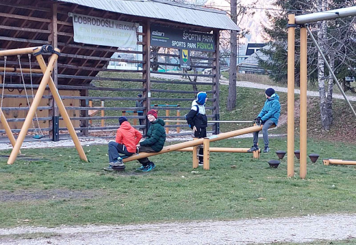 torek1 (17)