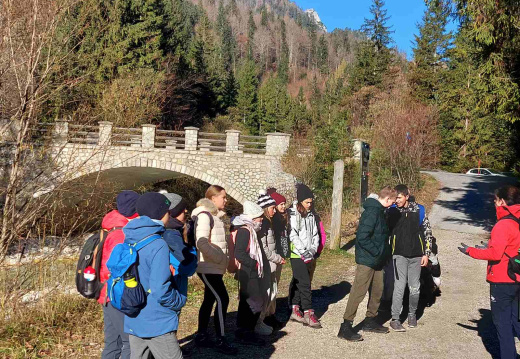 torek1 (19) (693 visits) torek1 (19)