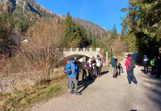 torek1 (20) (719 visits) torek1 (20)