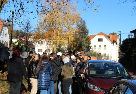 Slika (2522) (Large) (394 visits) Slika (2522) (Large)