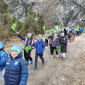 Planica (36)