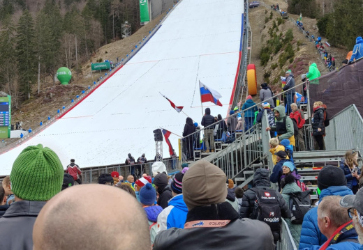 Planica (65) (260 visits) Planica (65)