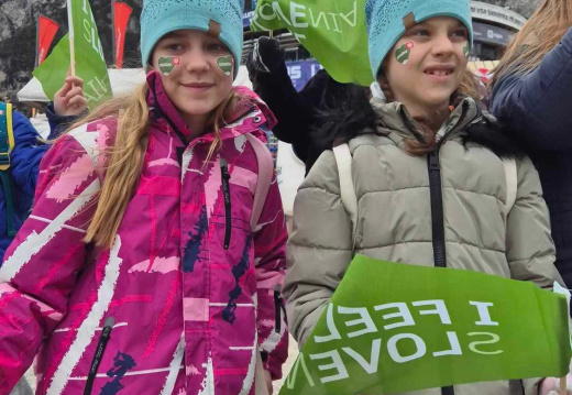 Planica (8) (223 visits) Planica (8)