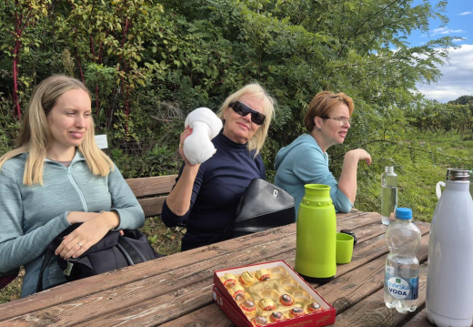 pohod 4f96f8f7-0518-4d45-a610-d20cb267cfc6