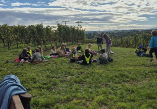 pohod vsi d5e15139-e142-4ed1-a4fb-be36f135160b