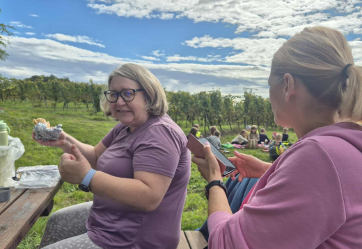 pohod vzg. E 1c74b9c2-5d68-44b8-80e7-7f5bf5ba437d