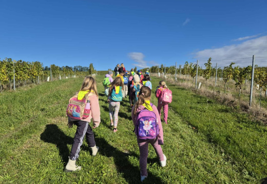 pohod vsi d2d09f09-4902-47dc-aeb7-d03a9f75f134