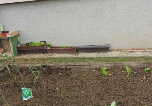 POSAJENO65fb9683-b62b-48d1-91a9-512124834aa9