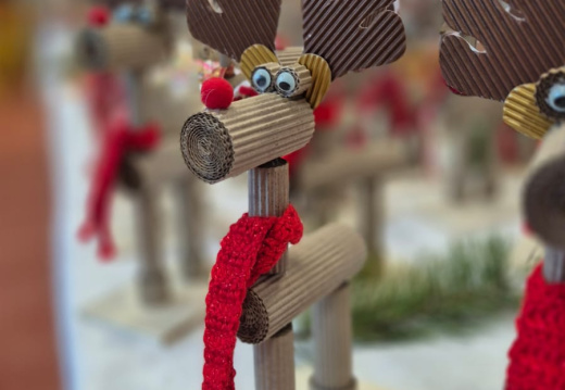 WhatsApp Image 2025-12-12 at 12.50.10 (1)