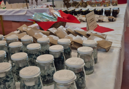 WhatsApp Image 2025-12-12 at 12.50.12 (1)