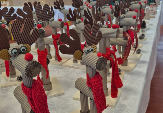 WhatsApp Image 2025-12-12 at 12.50.14 (2)