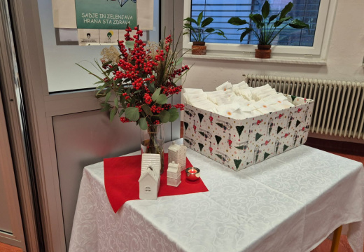 WhatsApp Image 2025-12-12 at 12.50.16 (1)