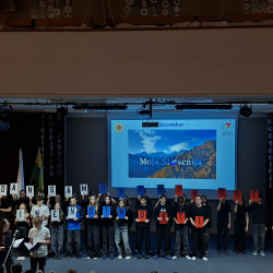 Proslava ob Dnevu samostojnosti in enotnosti